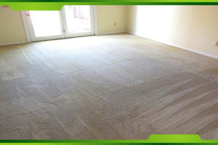 Carpet Cleaning and Restoration